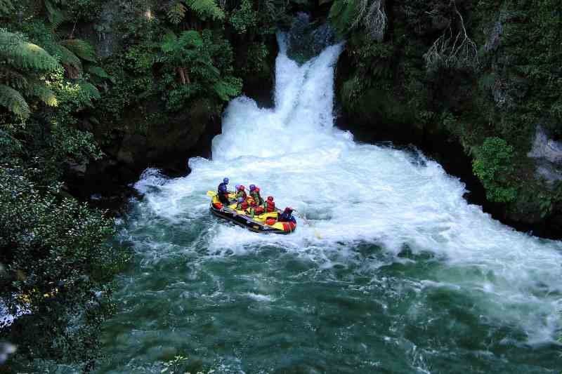 bote amarelo navegando por águas turbulentas, cercadas por vegetação densa.
